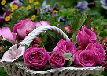 Meneladani Keromatisan Rasulullah (Bag.2)