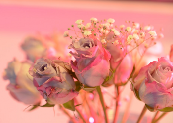 Meneladani Keromantisan Rasulullah Saw