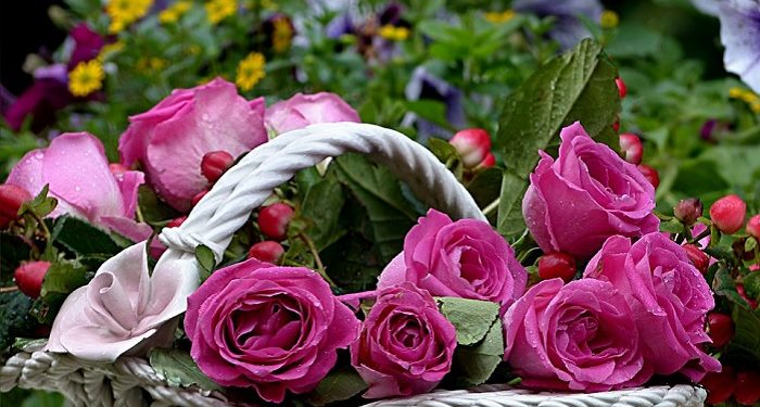 Meneladani Keromatisan Rasulullah (Bag.2)