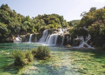 Surat Abasa ayat 24-32