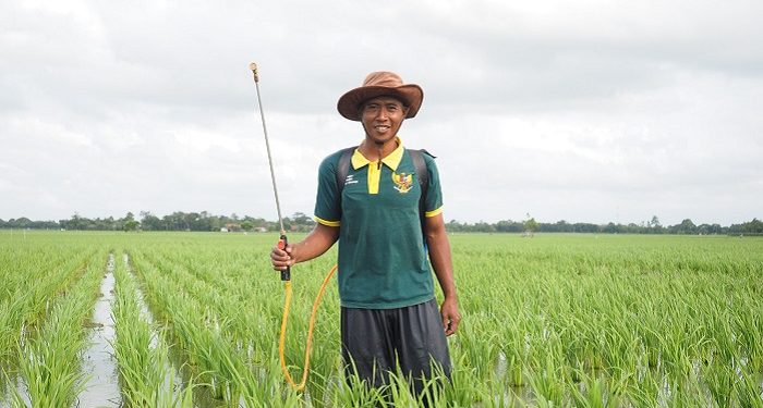 Taswan, Petani Lumbung Pangan BAZNAS Raup Rp30 Juta Sekali Panen