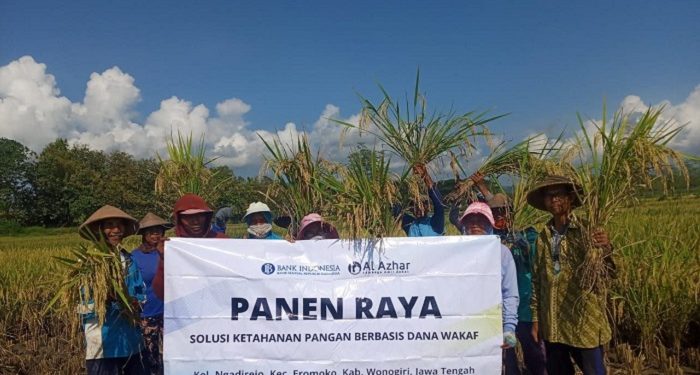 Kisah Amrinto, Buruh Pabrik yang Jadi Petani dengan Hasil Panen Melimpah