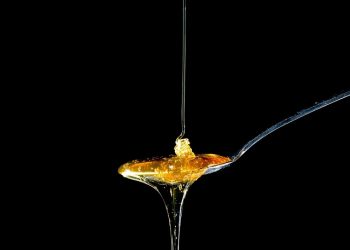 Kisah Semut dan Satu Sendok Sirup