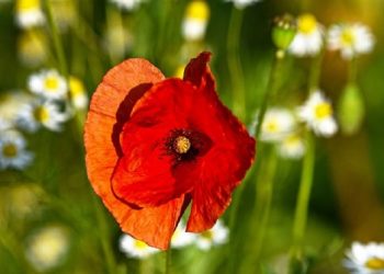 Banyak Berzikir di Bulan Ramadan