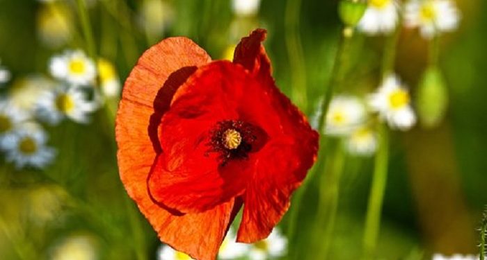 Banyak Berzikir di Bulan Ramadan