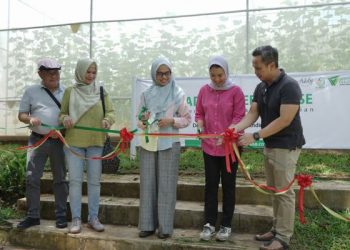 Berdayakan Masyarakat dengan Mengajak Anak Muda Bertani, Dompet Dhuafa Resmikan Madina Green House