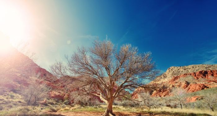 Tips Menghadapi Cuaca Panas agar Tetap Sehat