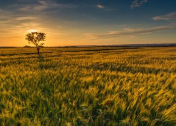 Tafsir surat Al-Kahfi ayat 1-5