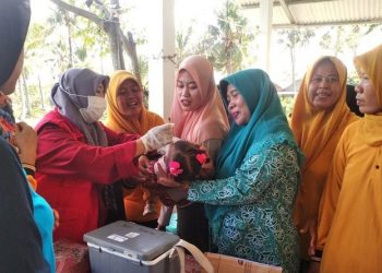 Dorong Pertumbuhan Balita, LAZ Al Azhar Bantu Melalui Pemberian Makan Tambahan (PMT)