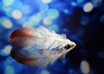 Mendekat ke Surga, Menjadi Penghuninya