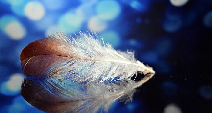 Mendekat ke Surga, Menjadi Penghuninya