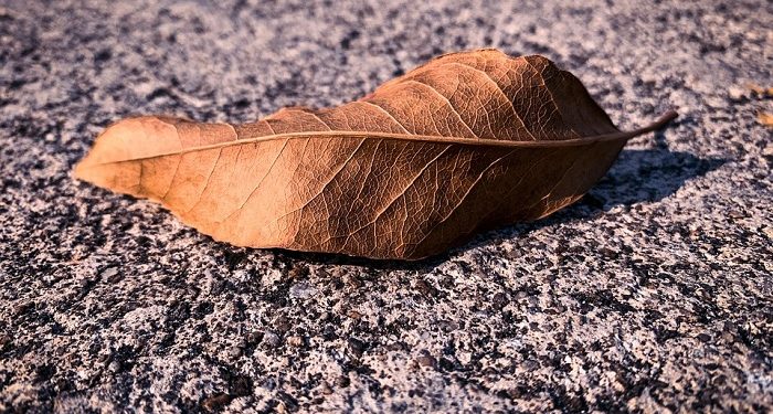 Abu Darda' Sosok Hakim yang Tak Terpesona dengan Kekayaan