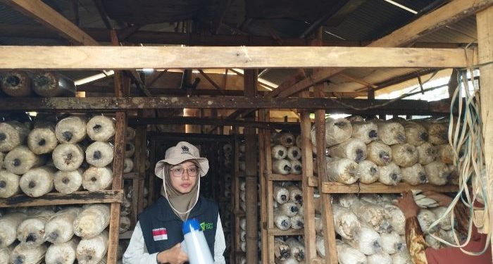 Melalui Sentra Rumah Jamur di Batang, Dompet Dhuafa Bantu Masyarakat Miskin Punya Kehidupan yang Layak