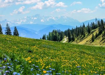 Serba-serbi salam, ucapkan salam seperti ini agar dapat 30 kebaikan