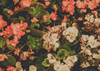 Pribadi-pribadi terbaik menurut Al-Qur`an dan Hadits