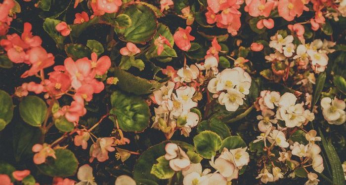 Pribadi-pribadi terbaik menurut Al-Qur`an dan Hadits