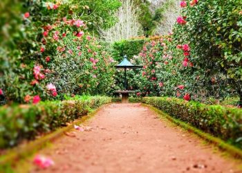 Amalan Sederhana yang Membuahkan Tempat Istimewa di Dalam Surga