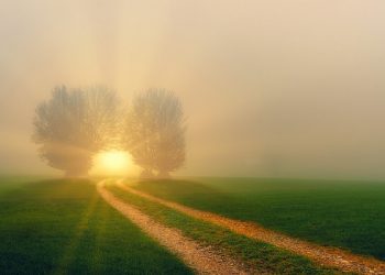 Pujian yang Tidak Sebenarnya