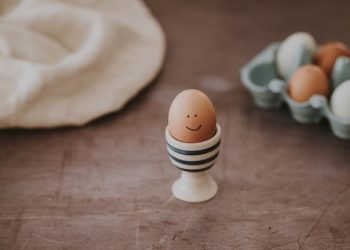 Jumlah Konsumsi Telur yang Dibutuhkan Anak-Anak Setiap Hari