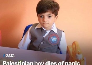 Kisah Tamim Daoud, Balita yang Meninggal karena Serangan Panik di Gaza