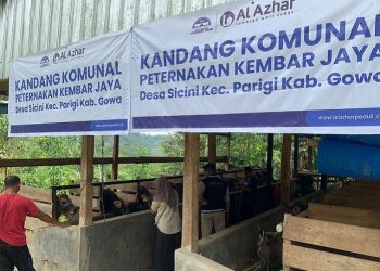 YBM BRIlian Kunjungi Kandang Komunal LAZ Al Azhar di Sulawesi Selatan