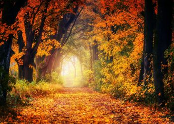 Menang dan Kalah Tetap Memuji Allah