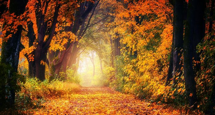 Menang dan Kalah Tetap Memuji Allah