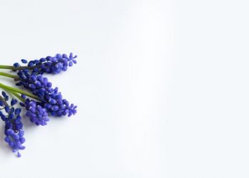 Surat Al-Falaq ayat 1-5