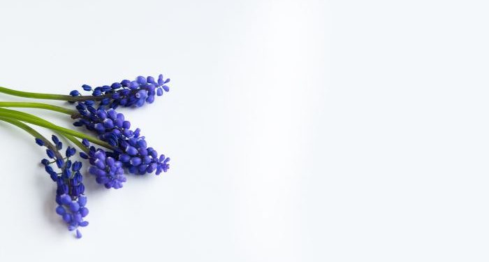 Surat Al-Falaq ayat 1-5