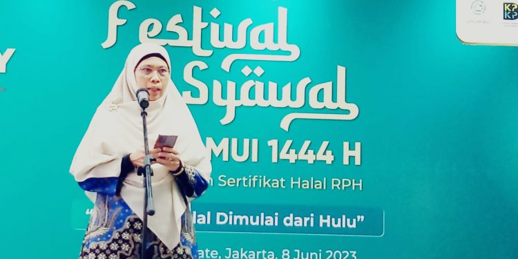 LPPOM MUI Akselerasi Pasokan Daging Halal dengan Festival Syawal