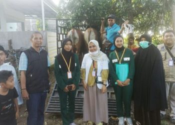 Muslimah Wahdah Bone Gandeng Dinas Peternakan dan Kesehatan Jamin Keamanan Hewan Qurban