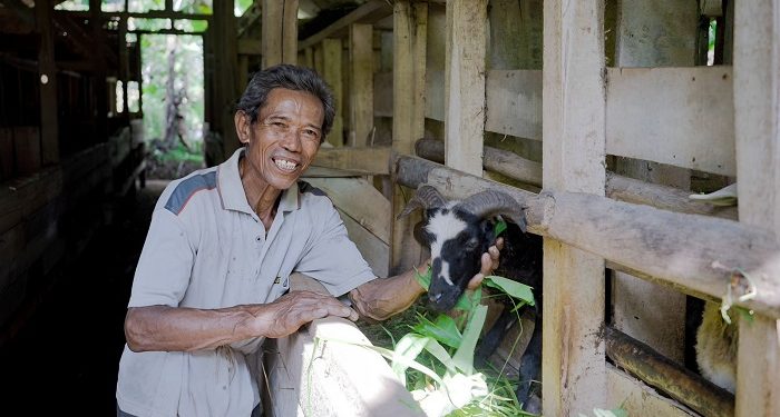 Un99ulkan Qurban, Berdayakan Peternak Kecil di Pedesaan
