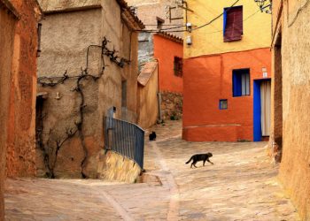 Annisa Teresia Ingatkan Berbuat Baik kepada Tetangga