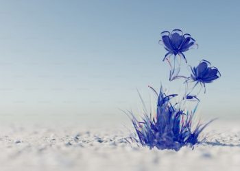 Allah SWT Tidak akan Menyia-nyiakan Ikhtiar Kita