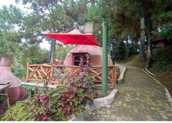 5 Penginapan dengan Konsep Unik di Mulberry Hill