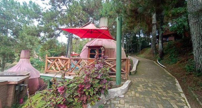 5 Penginapan dengan Konsep Unik di Mulberry Hill