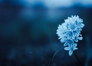 Kamu butuh ini agar bisa move on