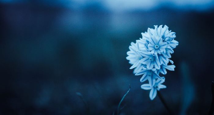 Kamu butuh ini agar bisa move on