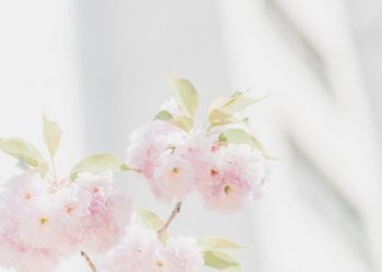 Hukum tidak mempercayai adanya keturunan nabi muhammad