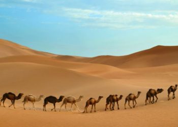 Sejarah Melempar Jumrah