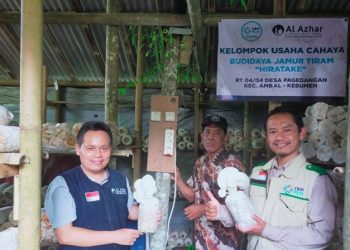 LAZ Al Azhar Cilacap dan YBM PLN Berdayakan Warga Lewat Budidaya Jamur Tiram