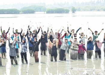 Mangrove I'm in Love 2023, Aksi Menanam 4000 Mangrove di Mauk