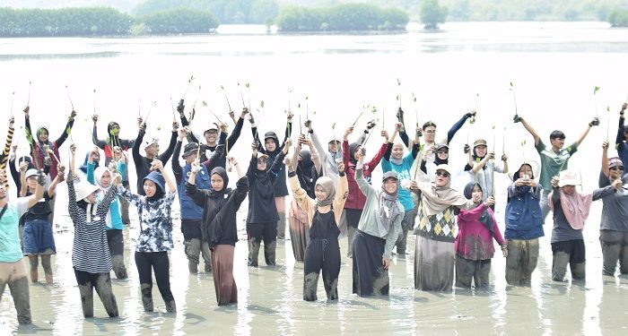 Mangrove I'm in Love 2023, Aksi Menanam 4000 Mangrove di Mauk