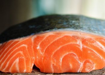 Mengonsumsi Ikan untuk Kecerdasan Anak, Berikut Ini Tipsnya