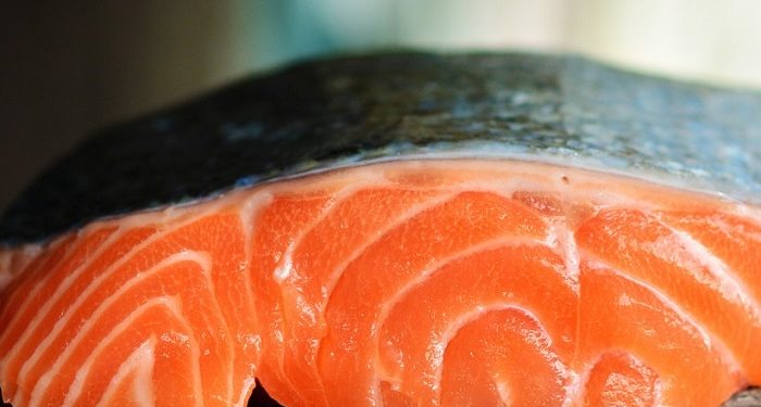 Mengonsumsi Ikan untuk Kecerdasan Anak, Berikut Ini Tipsnya