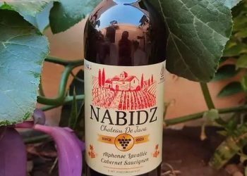 Ketua MUI Bidang Fatwa: Kami Tidak Pernah Menetapkan Kehalalan Produk Nabidz