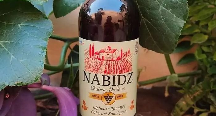 Ketua MUI Bidang Fatwa: Kami Tidak Pernah Menetapkan Kehalalan Produk Nabidz
