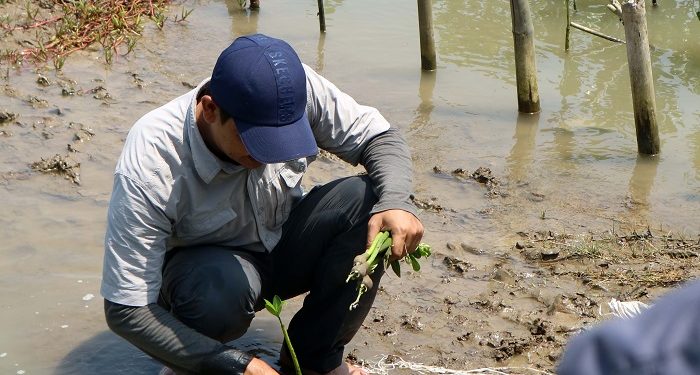 Hari Mangrove Sedunia, Ayo Less Waste Tanam Mangrove di Tangerang