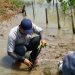 Hari Mangrove Sedunia, Ayo Less Waste Tanam Mangrove di Tangerang