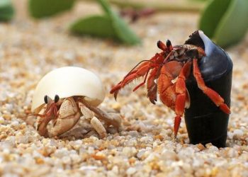 Menikmati Zona Nyaman